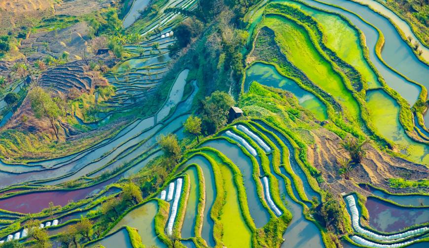 走进泸县TVC拍摄：解锁本地化场景与创意镜头的完美融合